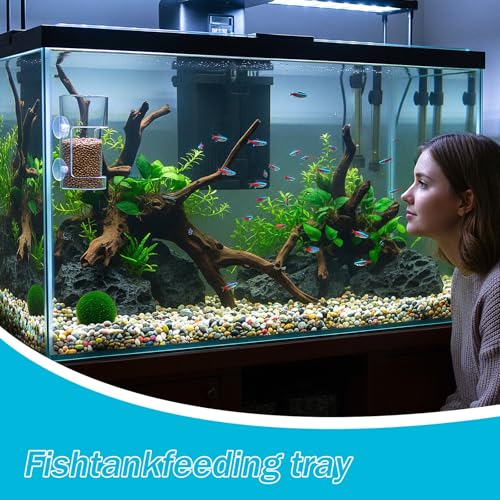 2PCS Fish Tank Feeding Tray, Fish Food Feeder with Suction Cup, Clear Aquarium Feeders, Cylindrical Fishes-Feeder, Round Aquariums & Fish-Bowls Accessories