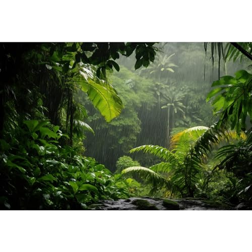 Raining Rainforest Aquarium Background Tropical Rain Shower Green Jungle Leaves Fish Tank Background Lush Foliage Wet Forest Reptile Tank Backgrounds Foggy Trees Reptile Enclosure Backgrounds 24x12in - color: Dark Green, size: 24(W)x12(H)inches/ 60(W)*30c