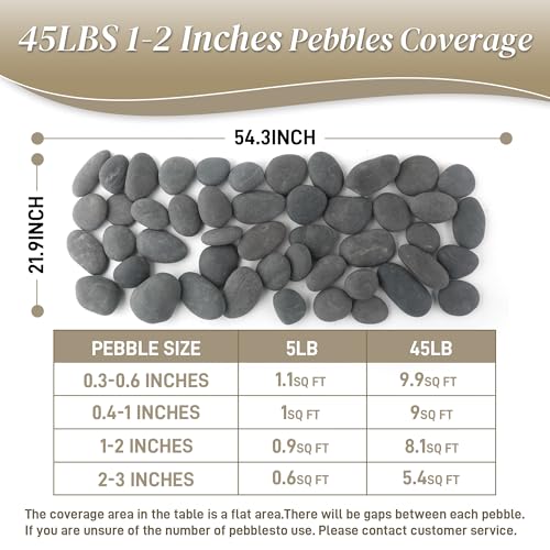 Quibbay 45 LB Mexican Beach Pebbles - 1-2 Inch Decorative River Rocks for Landscaping, Garden Paving, Plant Rocks, Crafting, Walkways, Backyard, Grey Natural Unpolished Bulk Stones - size: 45 Pounds, 1-2 Inch