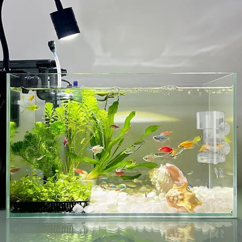 No Mess Aquarium Feeder, Acrylic Clear Fish Tank Feeder with Suction Cup, Preventing Food Scattering Feeding Tray Hollow Floating Sinking Shrimp Food Holders (Square,1) - color: Square