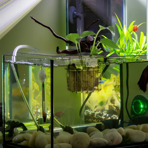 NOLITOY 4pcs Aquarium Holders Transparent Aquatic Cups for Fish Tanks Hanging Planter for Plants Easy Installation Compatibility Aquarium Accessories