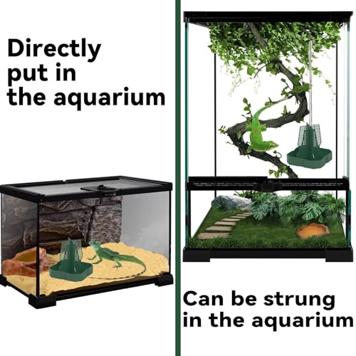 Chameleon Feeder Bearded Dragon Feeder for Mounted Insect with Rope and Tweezers, Tank and Aquarium Accessories for Lizard, Bearded Dragon, Gecko, Frog（Large） - size: Large