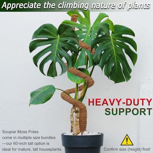 Soupiar 2 Pack 60'' Bendable Moss Pole for Monstera & Pothos - Tall Handmade Coco Coir Plant Support Stakes for Large Climbing Indoor Plants, Potted Houseplant Trellis Accessories - color: 2×60 Inch