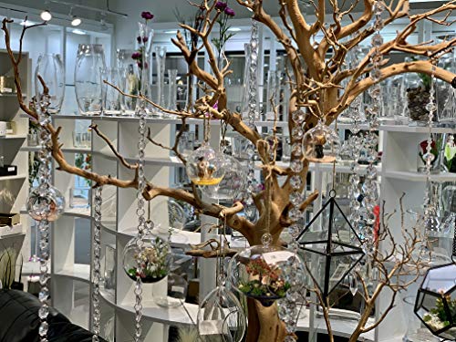 WGV Hanging Terrarium Globe, Width 4", Height 4.75", DIY Air Succulent Planter, Clear Glass Vase Orb with Flat Bottom, Candle Holder for Windowsill Outdoor Garden Decor, 6 Pieces Bulk - size: 4" Flat Bottom