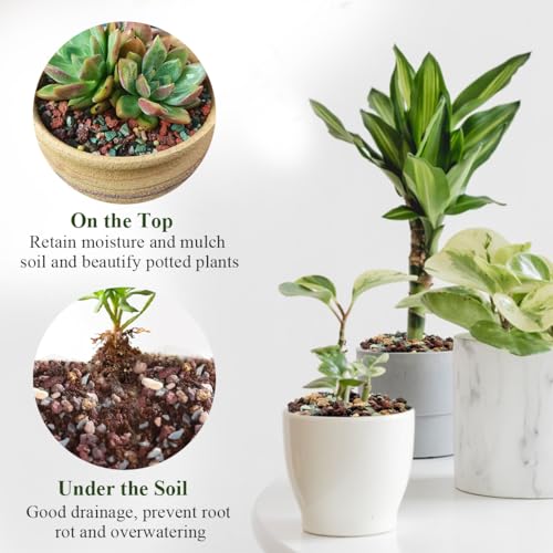 FANTIAN 2 lbs Mix Horticultural Succulent Soil,1/4 Inch Pumice Gravel. Decorative Pebbles Lava Rock for Cactus, Bonsai, Orchid, Indoor Plants of Drainage, Ventilation and Root Growth - color: Mixed Color