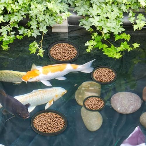Gavigain Aquarium Feeding Ring Set, 5 Sizes, EVA Foam, Prevents Food, Promotes Water Circulation, Ideal for Fish, Turtles, Plants (10pcs Black) - color: 10pcs Black