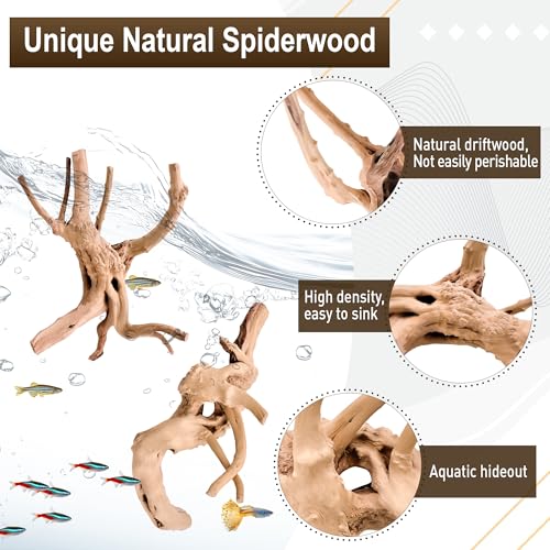 Kaiyuan Dynasty 3Pcs 8-10" Natural Aquarium Spiderwood for Reptile Terrariums Spider Wood Branch for Aquatic Plants Fish Tank Decorations - size: Spiderwood 8 to 10 Inch(Pack of 3)