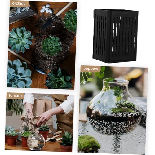 ibasenice Aquarium Plant Anchor Wall Mount Fish Tank Hydroponic Baskets for Freshwater Live Aquatic Plant Cup - color: Black