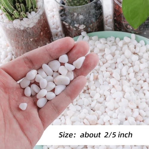 18lb 1/4" Small White Rocks for Plants,Potting,Succulents Aquarium Fish Tank Garden Vases Decorative Pebbles Gravel Rocks Stones - color: white, size: 18lb
