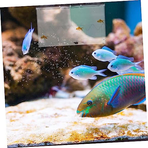 SUPVOX Aquarium Breeding Box Acrylic Isolate Case Multi-Function Incubation Accessory Easy Clean Store