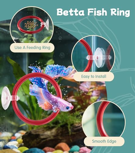 Betta Fish Toys,Including Betta Feeding Ring and Floating Betta Sports Mirror,Betta Enrichment Toys for Small Tank,Betta Fish Tank Accessories