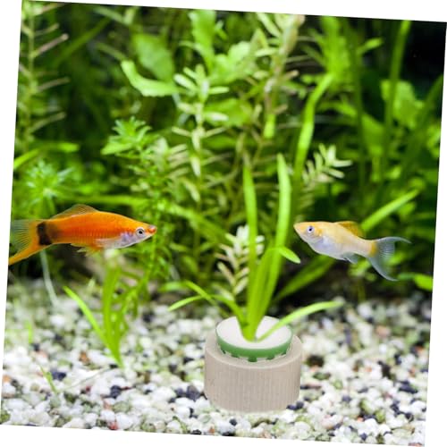Toddmomy 9pcs Floating Ceramic Rings for Fish Tank Decoration Stabilizes Aquatic Plants User Friendly Planting Cups for Easy Maintenance