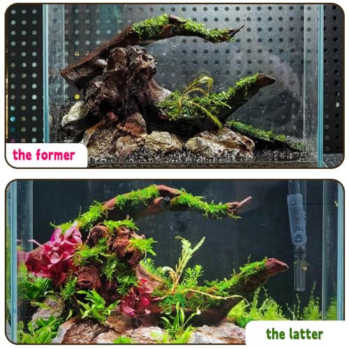 Hamiledyi Aquarium Driftwood, Natural Large 7-15in Coral Driftwood for Aquarium Decor Reptile Tank Decor Terrarium Ornament Wood Branch Trunk Stump for Fish Betta Lizard - size: XL:Mopani Driftwood (7-15in 1PCS)