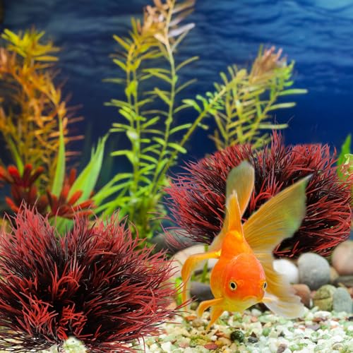 2 Pcs Aquarium Plants Fish Tank Decorations Artificial Fish Tank Plants Plastic Mini Grass Set Natural Style Tanks Accessories (Black Red) - color: Black Red