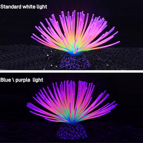 Fluorescent Rainbow Sea Urchin Aquarium Decor - Glows Under Blue Light, Weighted Silicone Ornament for Fish Tank with Swaying Spines, Saltwater & Freshwater, Vibrant Aquascape Centerpiece (Colorful) - color: Colorful