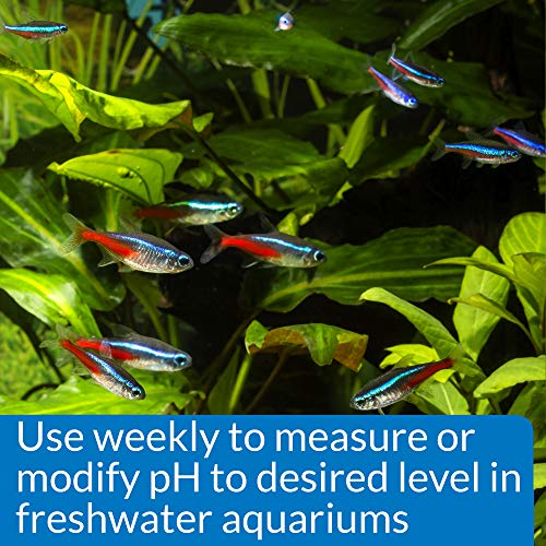 API pH TEST & ADJUSTER KIT 250-Test Freshwater Aquarium Water pH Test and Adjuster Kit - size: 250 test, style: pH & Adjuster