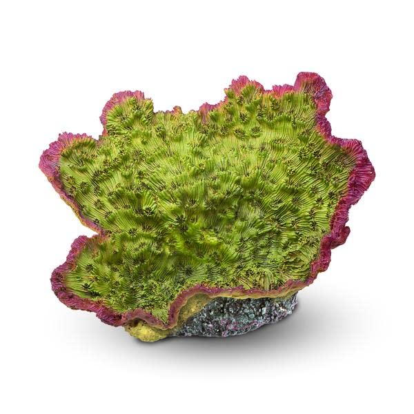Aquatop Aquatic Supplies CD-04GRM Coral Decor, Green/Purple