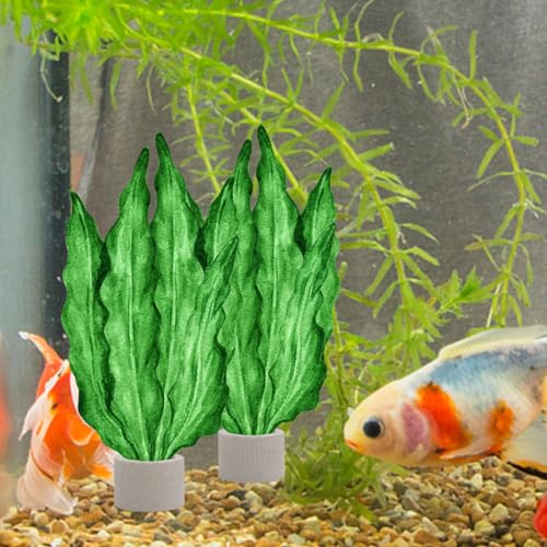 iplusmile Aquarium Plant Holder Rings 1.77In Ceramic – Weighted Anti-Float Secure Fixing – for Fish Tanks Freshwater Aquariums Shrimp Tanks for Live Aquatic Plants Grass Decor