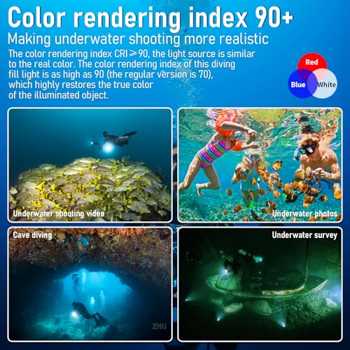 Diving Flashlight, L12 8000Lumens Dive Light,100m Underwater Video Light, Scuba Dive Lights, Underwater Flashlight with Type-C Charging for Professional Under Water Sports - color: Sealion L12