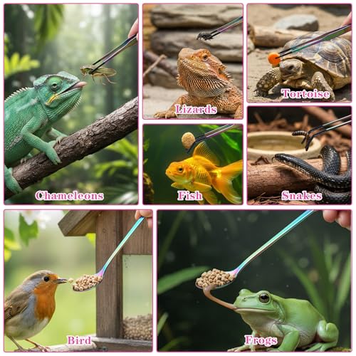 3PCS Stainless Steel Reptile Feeding Tongs with Rubber Tip, 10.6" Straight Curved Long Tweezers, Extra Long Aquarium Tweezers for Bearded Dragons, Lizards, Terrarium Tank Supplies