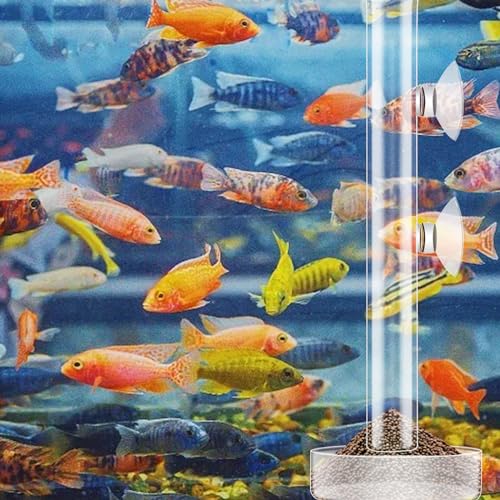3 Pcs Shrimp Feeding Tube and Dish Set Clear Crystal Glass Shrimp Feeder Tube Tray Aquarium Feeder Tube Shrimp Feeding Dish Bowl Suction Cups for Fish Tank Aquarium Feeding Supplies Tools