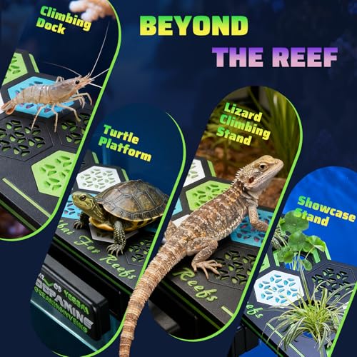 YOBBAI Magnetic Coral Frag Rack for Reef Tank, Saltwater Aquarium Frag Holder with 11 Slots & 13 Frag Plugs, Strong Magnet Glass Mount (Up to ~2cm), Multi-Use Aquarium & Hydroponic Plant / Reptile Display Stand - color: Neon Green-Black