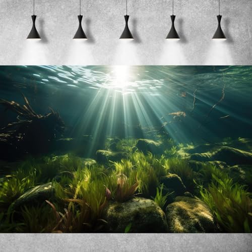 Underwater Aquarium Background Under The Sea Aquatic Grass with Sunbeams Terrarium Background Underwater Rocks with Moss Fish Tank Background Tranquil Natural Underwater Seascape Backdrop 30x18in - color: Oecan Dark Green, size: 30(W)x18(H)in