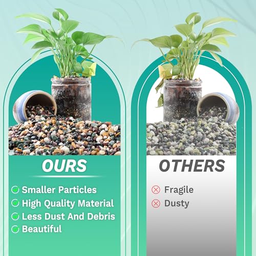 AVALUTION Aquarium Gravel for Plants -2.4lb Fish Tank Gravel for Succulent Cactus & Bonsai, 1/4Inch Decorative River Rocks Pebbles for Gardening, Flower Pots, Landscaping, Terrarium - color: Mix Gravel, size: 2.4LB