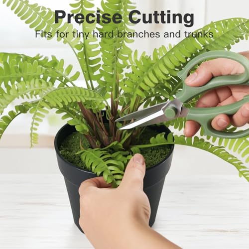 Housolution Flower Scissors, Strong Floral Shears,3PCS Premium Steel Garden Pruning Shears Floral Fruits Leaf Scissors Hand Pruner Snip Trimming Tool for Gardening Flower Arrangement, Green - color: Pointed-avocado Green, size: 3 Pack