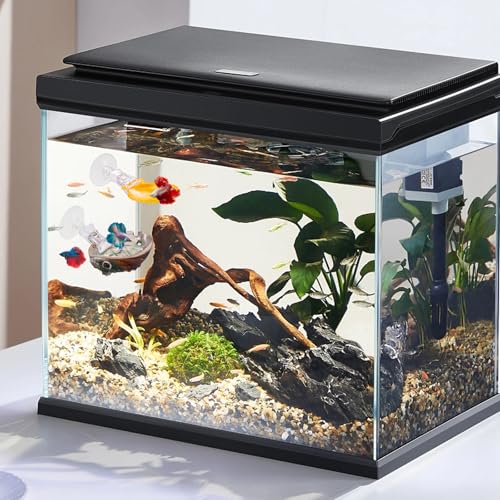 3 PCS Natural Shell Betta Fish Resting Spot, Betta Hammock Small Shell Bed with Suction Cups, Natural Habitat Breeding Spawning Ground for Betta, Shrimp, Aquarium Accessories Decorations
