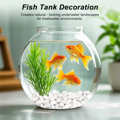 Succulent Rocks,Virekm River Rocks,Decorative Ornamental Pebbles,Garden Landscaping Stones,Gravel Filler for Home Decoration Flower Bed Fish Tank Plants Vases Succulents (1, White, 2 Pounds) - color: White, size: 2 Pounds