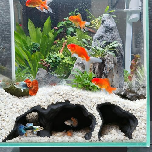 LIYAOLI Aquarium Ornaments Cave Tunnel with Viewing Ports | Fish Tank Decoration Hideout for Pleco, Shrimp & Corydoras | Substrate-Friendly Design & Sinking Base - color: Black
