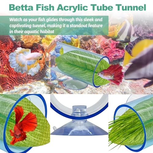 Hamiledyi 2 Pcs Betta Fish Acrylic Tube Tunnel Betta Fish Toys Betta Fish Tunnel Aquarium Hideouts for Rest Play Transparent Design for Better Observation of Betta Fish Tank Decorations (Light Blue)