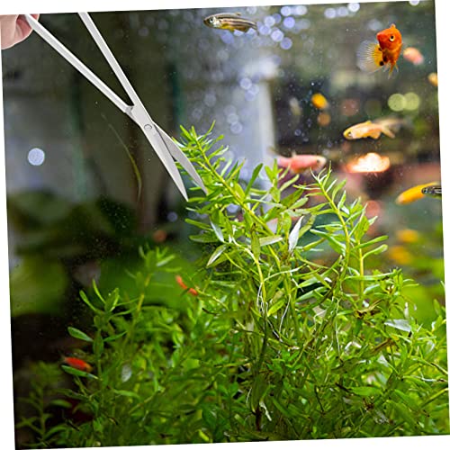 1 Set Portable Aquarium Tools Set Multi Function Stainless Steel Tweezers Scissors Scraper for Aquascaping and Plant Maintenance Freshwater Tanks