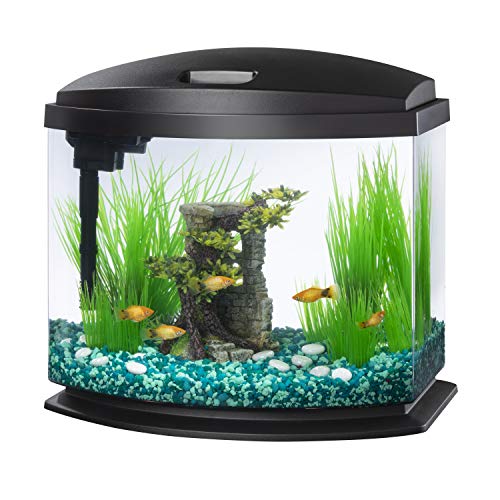 Aqueon LED MiniBow Small Aquarium Fish Tank Kit with SmartClean Technology, Black, 5 Gallon - color: Black, size: 5 Gallon