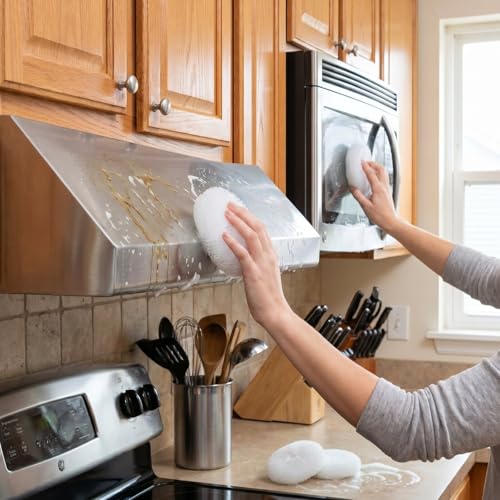 Blulu 15 Pcs Plastic Dish Scrubbers for Dishes Pot Round Nylon Pad, Mesh Scouring Non Scratch Pads (White) - color: White
