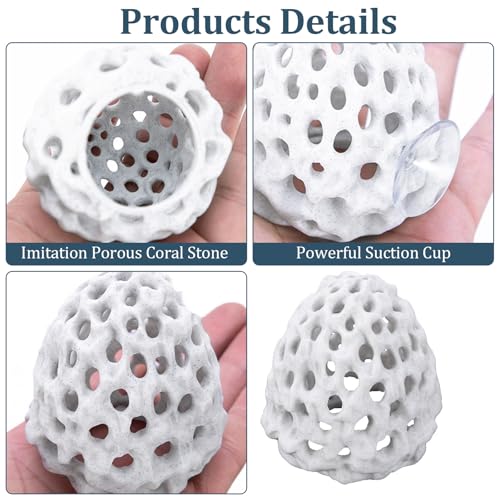 Chedin Plastic Shrimp Dome Hide with Suction Cup - Ideal Aquarium Ornament for Shrimp, Guppy & Betta Fish Hiding and Resting, White