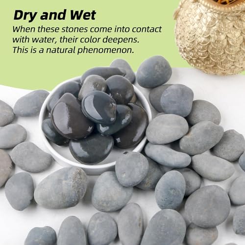 River Rocks Mexican Beach Pebbles (Large, 3LB) - size: 3LB, style: Large