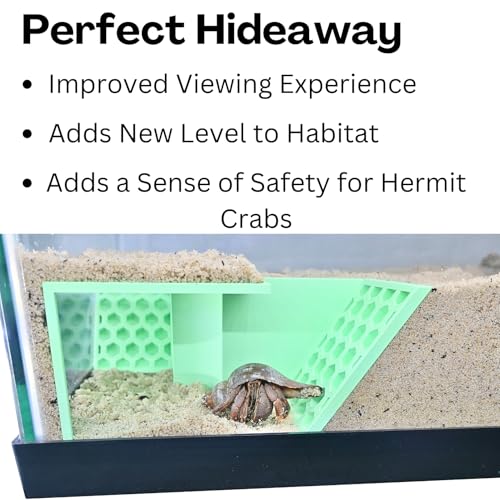 Hermit Crab Underground Tunnel Cave Corner | Hermit Crab Climbing Tank Decor Hide Hideout | Enrichment Habitat Hideaway Decoration Accessories Supplies Toys Ornaments (Seafoam Green) - color: Seafoam Green