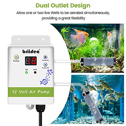 briidea Aerator for Bait Bucket, 12 Volt Livewell Aerator Pump System with Adjustable Pump Timing Cycle Function, Dual Outlet Aerator for Boat Bait Tank and Livewell, Keeps Bait Fish Alive