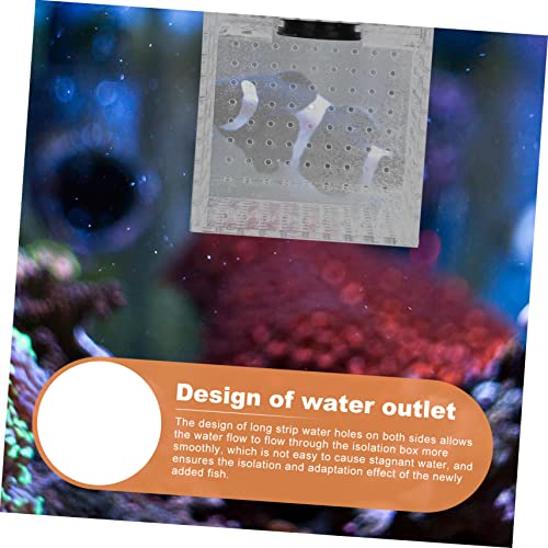 BESPORTBLE 1pc Fish Isolation Box Magnet Easy Installation Fish Hatching Container Water for Smooth for Breeding and Acclimation