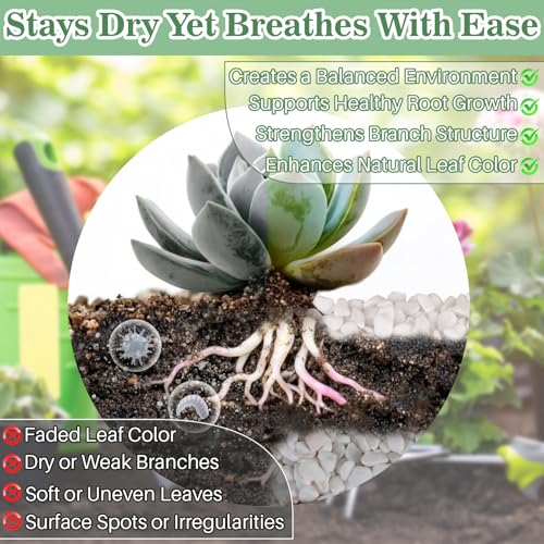 Sukh White Pebbles for Succulent and Cactus - 420G 1/5 Inch Succulent Cactus Gravel Pebbles,Natural Decorative Polished River Stones,Small River Rocks for Outdoor Gardening,Vases,Landscaping,Fish Tank
