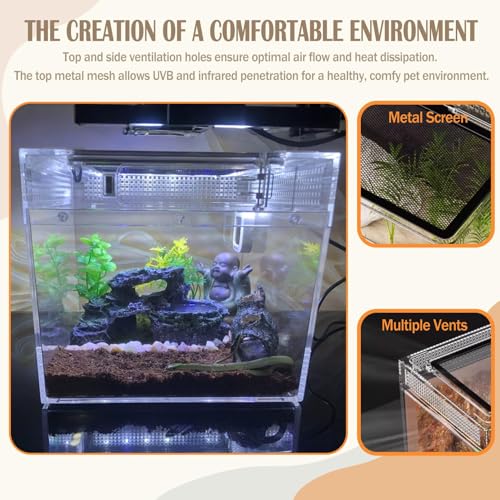 Reptile Terrarium, Jumping Spider Enclosure Starter Kit, Leopard Gecko Habitat Container, 8"x8"x6"Reptile Tank for Tarantula, Hermit Crab, Insect, Fish, Frog, Small Bearded Dragon, Lizard - size: 8"x8"x6"