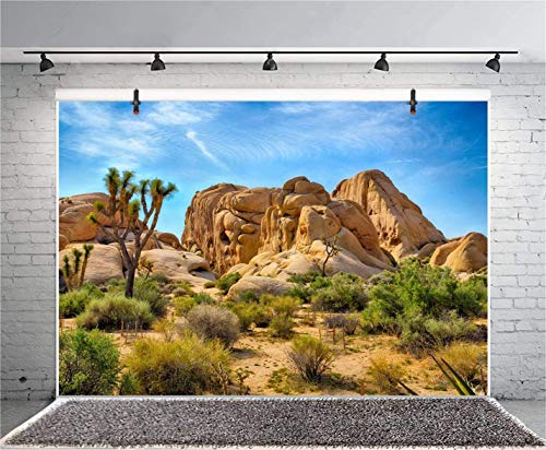 Leyiyi 7x5ft Joshua Tree National Park Photography Backdrop Western Sky Desert Cowboy Weathering Rock Drought-Tolerant Plant Cactus Terrarium Background Aquarium Wallpaper Polyester Photo Studio Prop - color: Desert3, size: 7x5ft-P