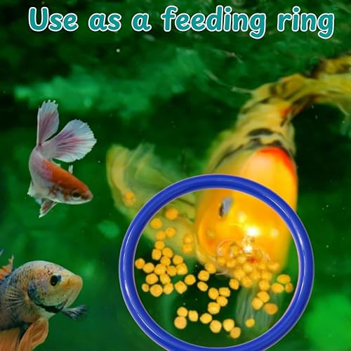Betta Fish Enrichment Toys Ring and Mirror , Floating Exercise Mirrors And Training Ring, Floating Mirrors Aquarium With Feeding Rings, Fish Toys, Betta Fish Tank Accessories (Blue+Mirror, 6.4cm) - color: Blue+Mirror