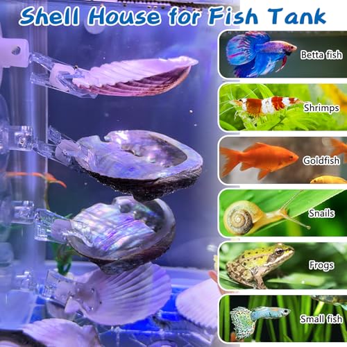 VCEPJH Betta Hammock with Suction Cups Betta Resting Spot 4 Pcs Fish Tank Accessories Decorations Shell Bed Toys for Aquarium Small Fish Natural Spawning Grounds Breeding