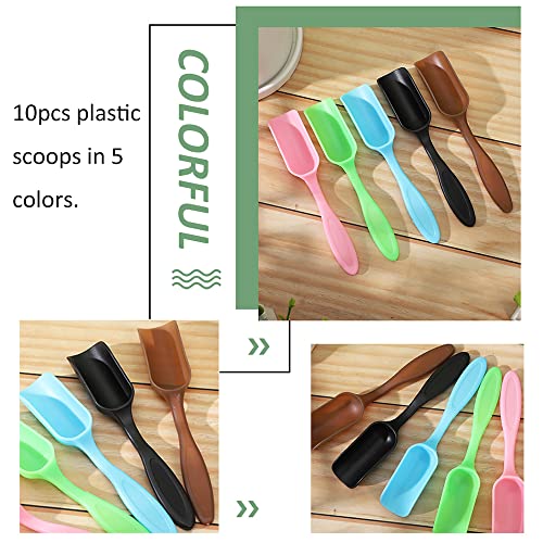 10Pcs Colorful Plastic Mini Gardening Shovel Spoons Soil Scoops, Succulent Sand Scoops/Cultivation Digging Transplanting Tools for Succulents Potted Flowers (Multicolor) - color: Multicolor