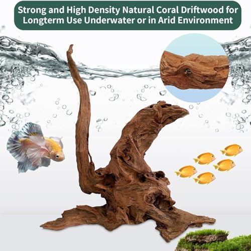 Hamiledyi Natural Large Driftwood for Aquarium 12-18 Inch Driftwood Branches Fish Tank Decoration Reptile Toy Assorted Size Reptile Habitat Decor Wood for Lizad (1 Pack)