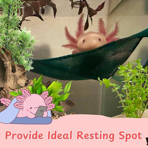 Axolotl Hammock with Feeder Dish – Mesh Resting Spot for Aquariums, Suction-Cup Mount, Easy-Clean Tank Accessories & Decor for Axolotl Habitats (Green, S) - color: Green