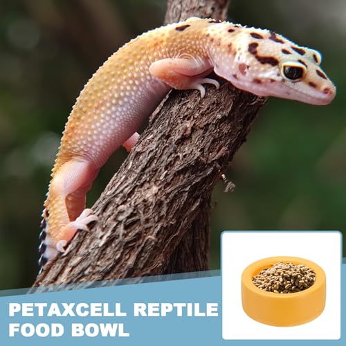 Reptile Food Bowl, Worm Water Dish Ceramic Pet Bowl Food Dish Anti Escape Feeder Small (2 in, Clay), Intended for Gecko/Scaled Pet/Amphibians/Spiders/Small Mammals